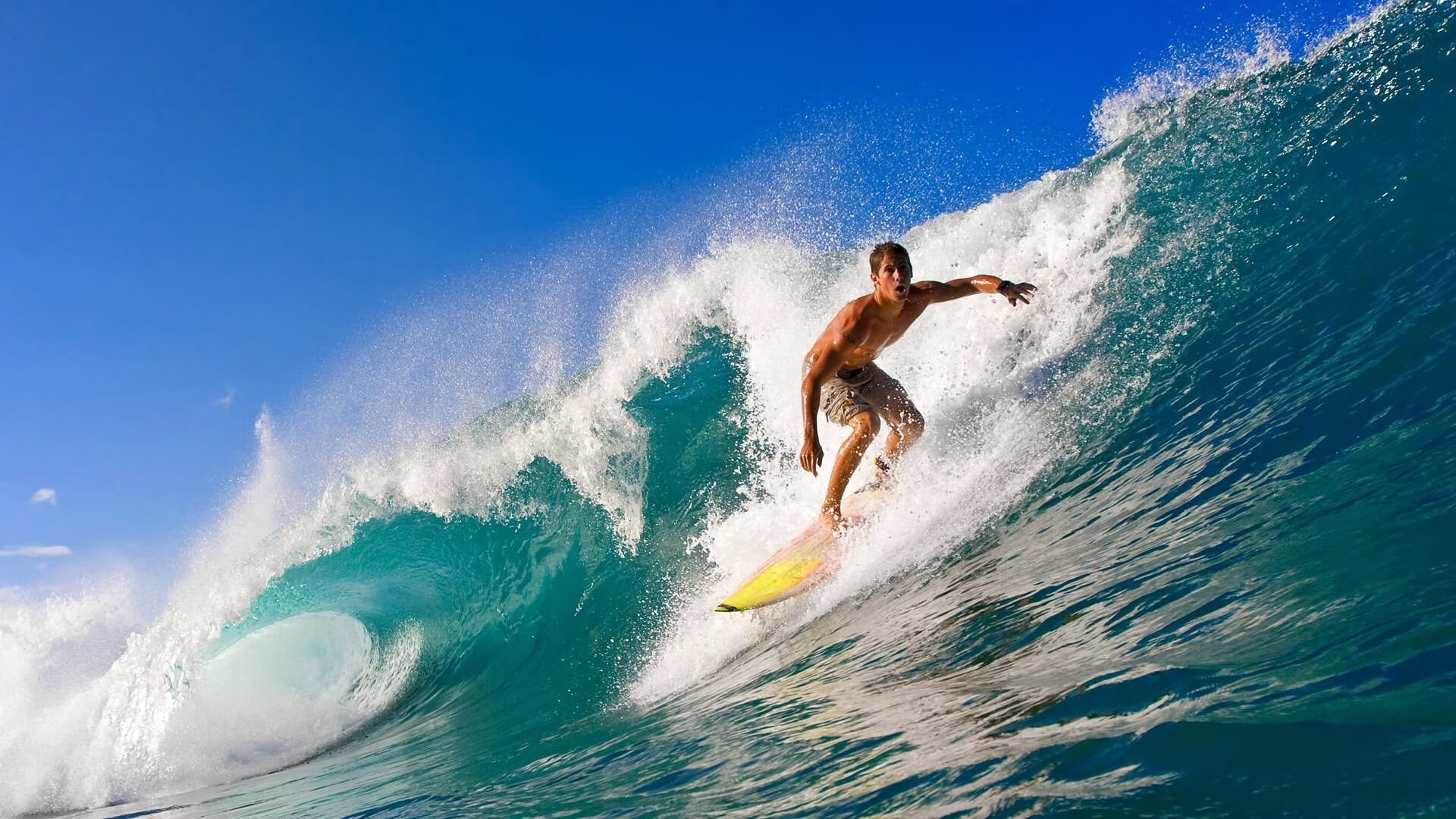 球迷“狂欢派对”：欧冠现场的热烈氛围，球迷狂欢节